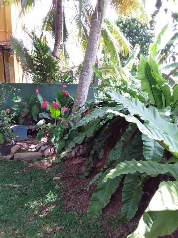 Serenity Villa Hikkaduwa Exterior foto